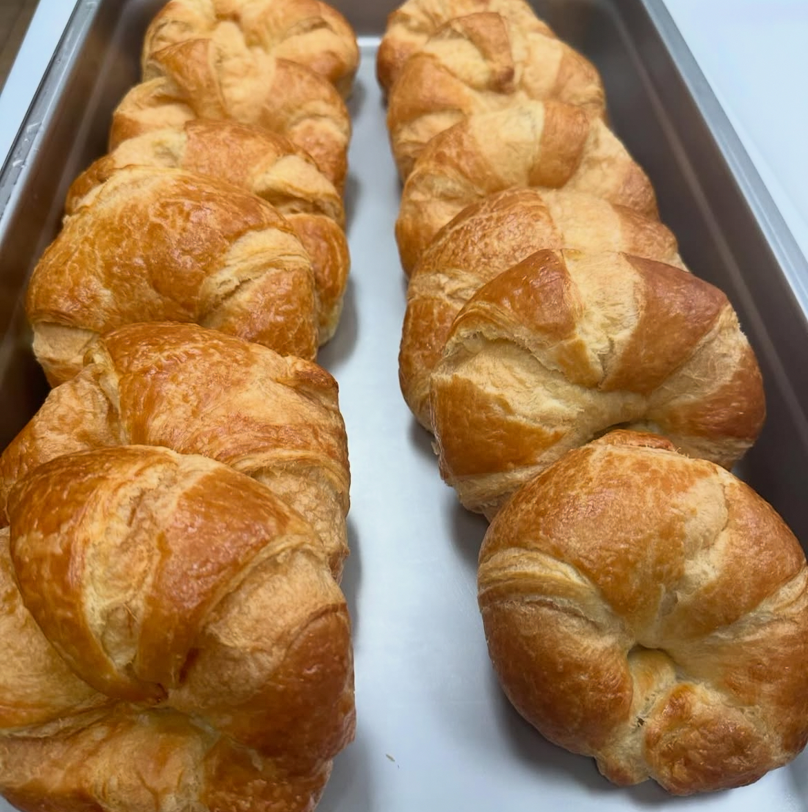 Two rows of golden, buttery croissants fresh from the oven